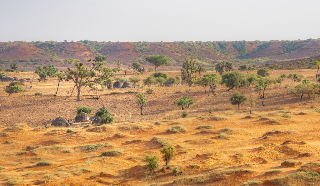 SAHEL : le FVC et le Fida s’engagent à verser 143 M$ pour la Grande muraille verte © mbrand85/Shutterstock