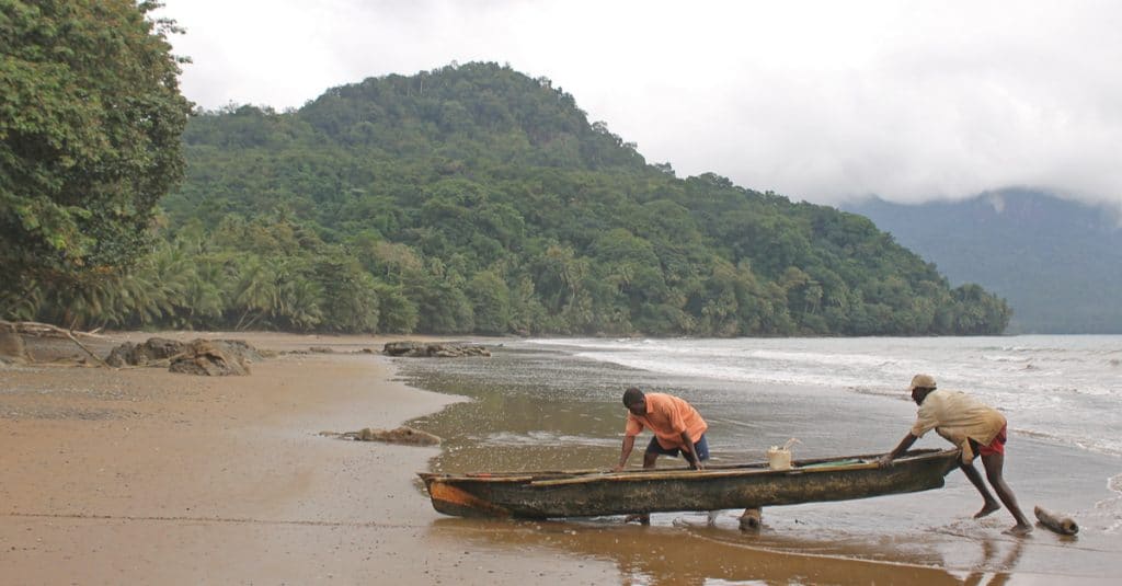 CAMEROON: A first marine park to limit the ravages of industrial fishing©Cesar J. Pollo/Shutterstock