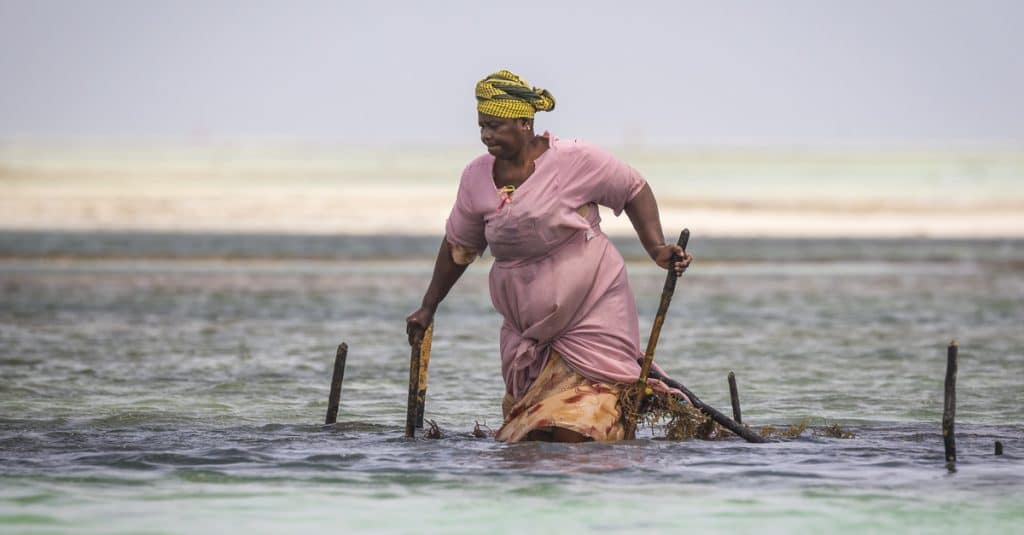 AFRICA: Ottawa allocates $8 million to reduce the impact of climate on women©SanderMeertinsPhotography/Shutterstock