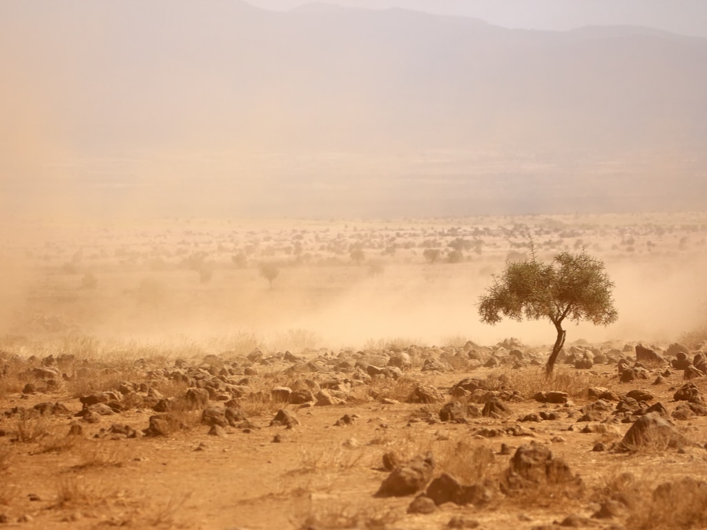 KENYA : Nairobi lèvera 55 Md$ pour réduire les émissions GES de 32 % d’ici à 2031 ©EcoPrint/Shutterstock