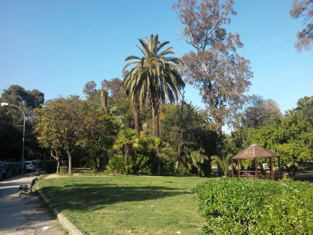 TUNISIA: The EU and SiccaVeneria launch the rehabilitation of Belvedere Park © Mohamad Ali Belhaj