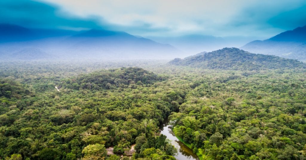 CONGO BASIN: more than $3 billion announced at COP 26 to protect the forest©Gustavo Frazao/Shutterstock