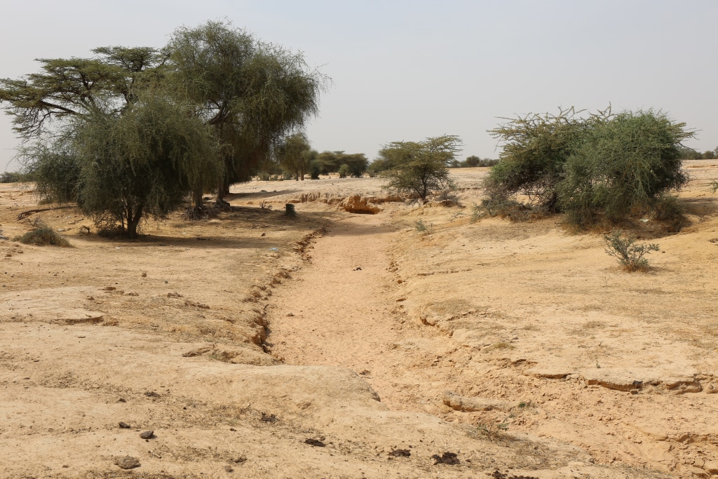 GHANA: GCF and Hatof train civil society on climate issues ©BOULENGER Xavier/Shutterstock