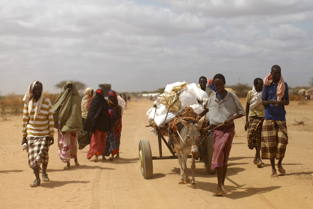 CORNE DE L’AFRIQUE : 138 M$ pour soutenir les agriculteurs impactés par la sécheresse ©mehmet ali poyraz/Shutterstock