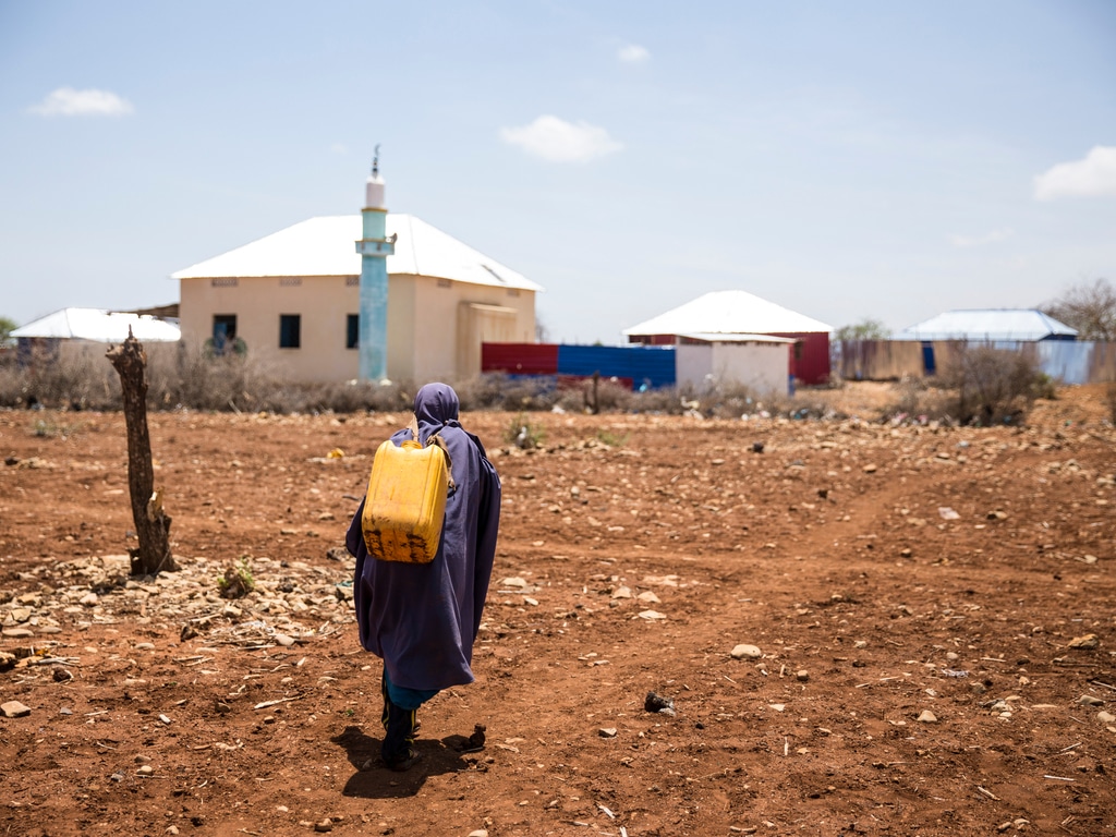 SOMALIE : quand la sécheresse menace la sécurité alimentaire d’un habitant sur quatre ©Galyna Andrushko/Shutterstock