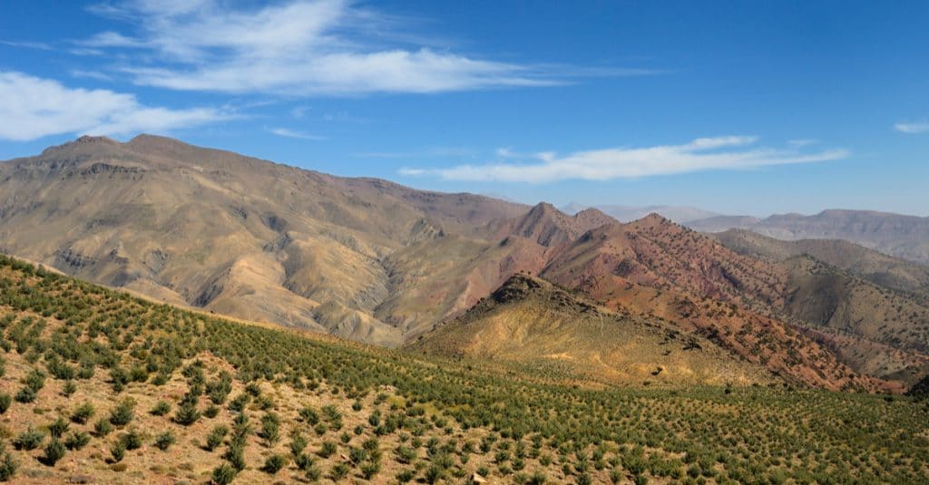 ZIMBABWE: GEF Provides $71 Million for Reforestation Program©Reimar/Shutterstock