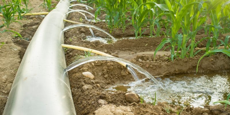 KENYA: Government supports sustainable agriculture and water access in Nyandarua ©WH_Pics/Shutterstock