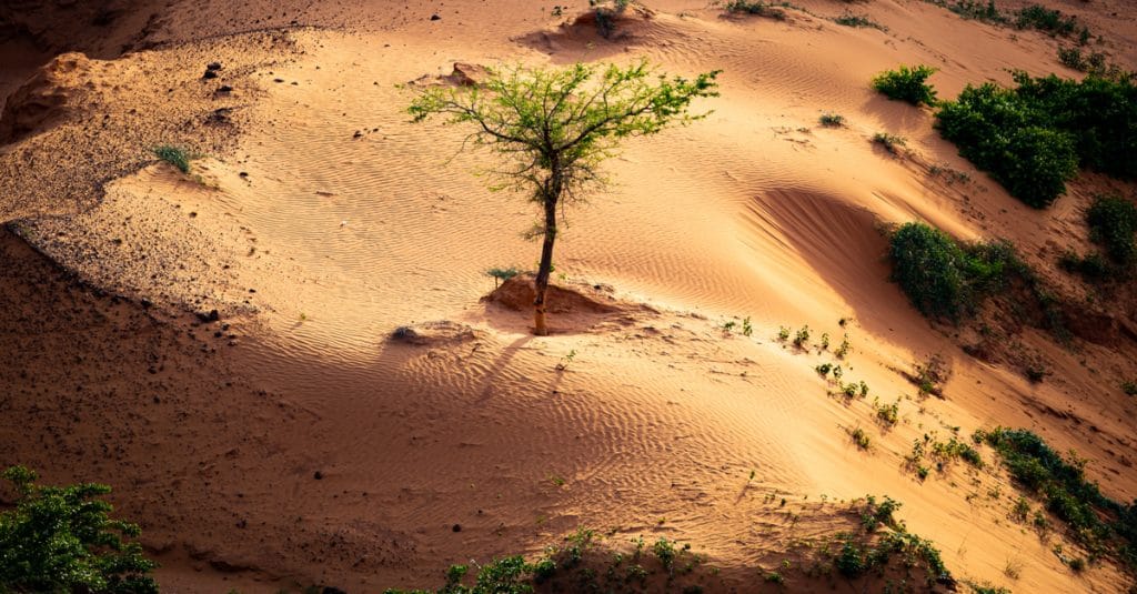 CÔTE D’IVOIRE : Abidjan abrite la 15e COP sur la désertification du 9 au 20 mai 2022©Madalin Olariu/Shutterstock