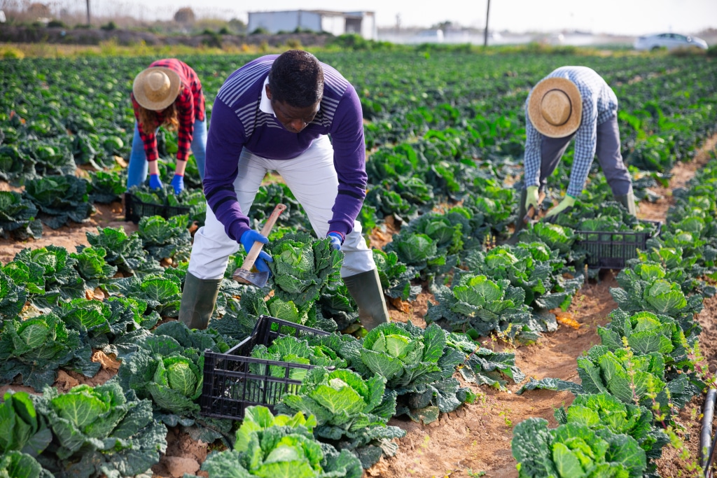 LIBERIA : FVC accorde 10 M$ pour l’amélioration des systèmes d’information climatique ©BearFotos/Shutterstock