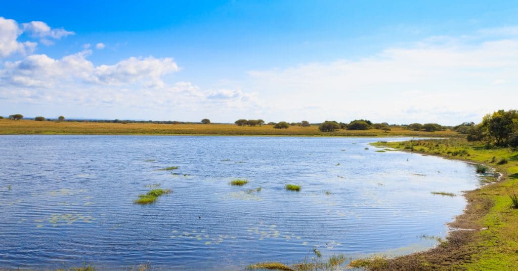 LIBERIA: EPA to Demolish Illegal Construction in Kpatawee Wetlands©elleon k/Shutterstock