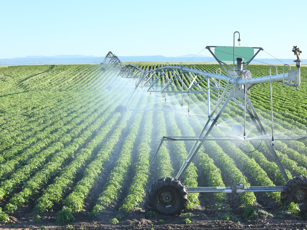 ZIMBABWE : 450 systèmes d’irrigation seront réhabilités pour l’agriculture©B Brown/Shutterstock