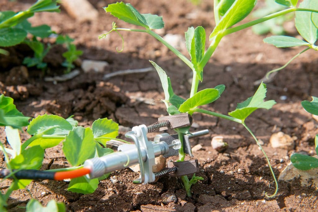 AFRICA: Start-up SupPlant raises $27 million for smart irrigation©SupPlant