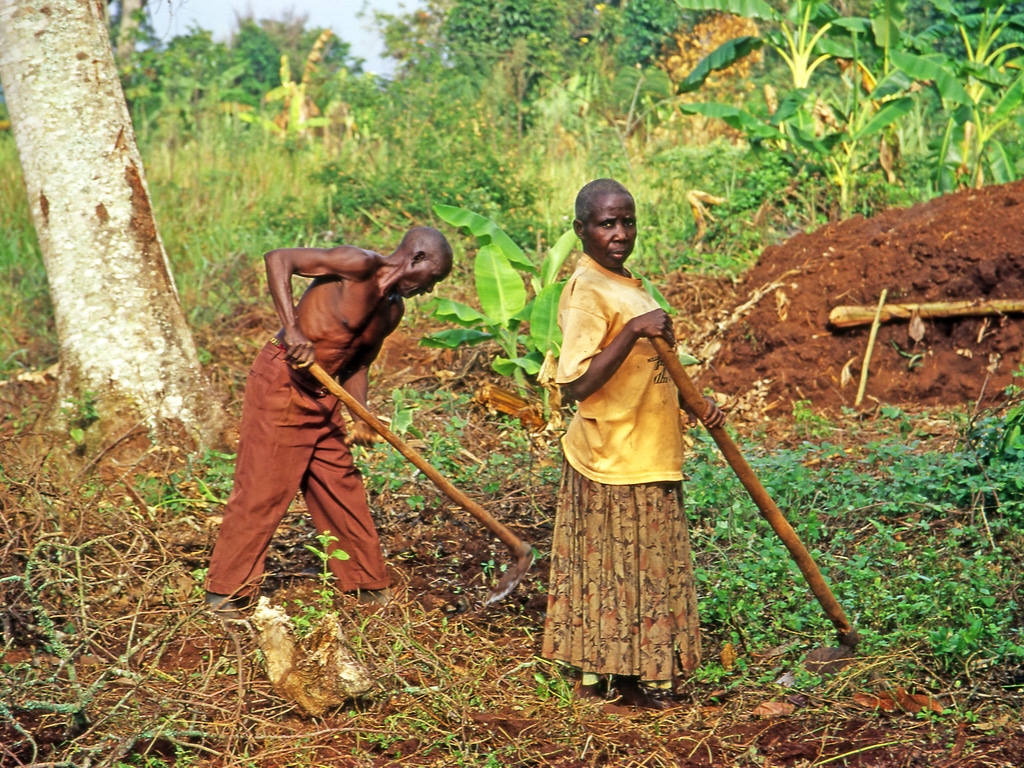 AFRIQUE : le programme « Face » conciliera climat et genre dans 14 pays ©Pecold/Shutterstock