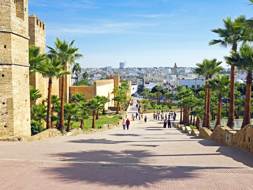 AFRIQUE : le Maroc présidera la 6e Assemblée de l’ONU pour l’environnement ©Steve Photography/Shutterstock