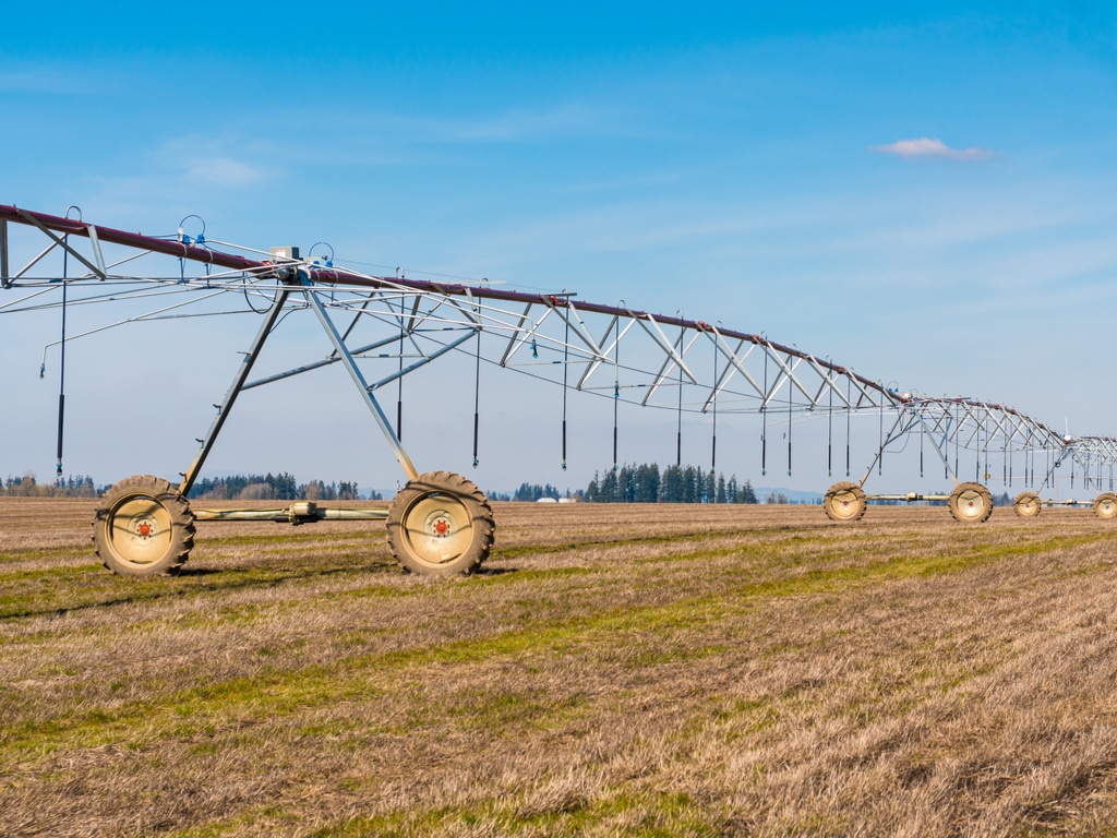 MOROCCO: World Bank pledges $180 million for irrigation in the face of drought©Michael Warwick/Shutterstock