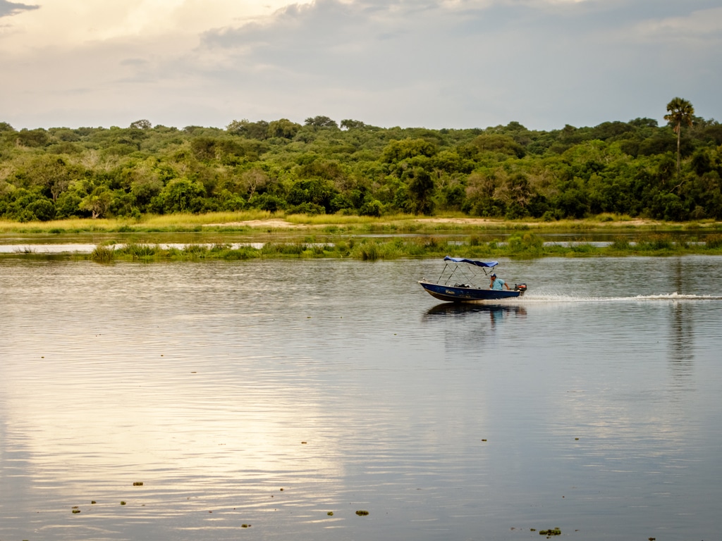 OUGANDA : comment la montée des eaux du lac Albert ébranle les écosystèmes ©Dennis Wegewijs/Shutterstock