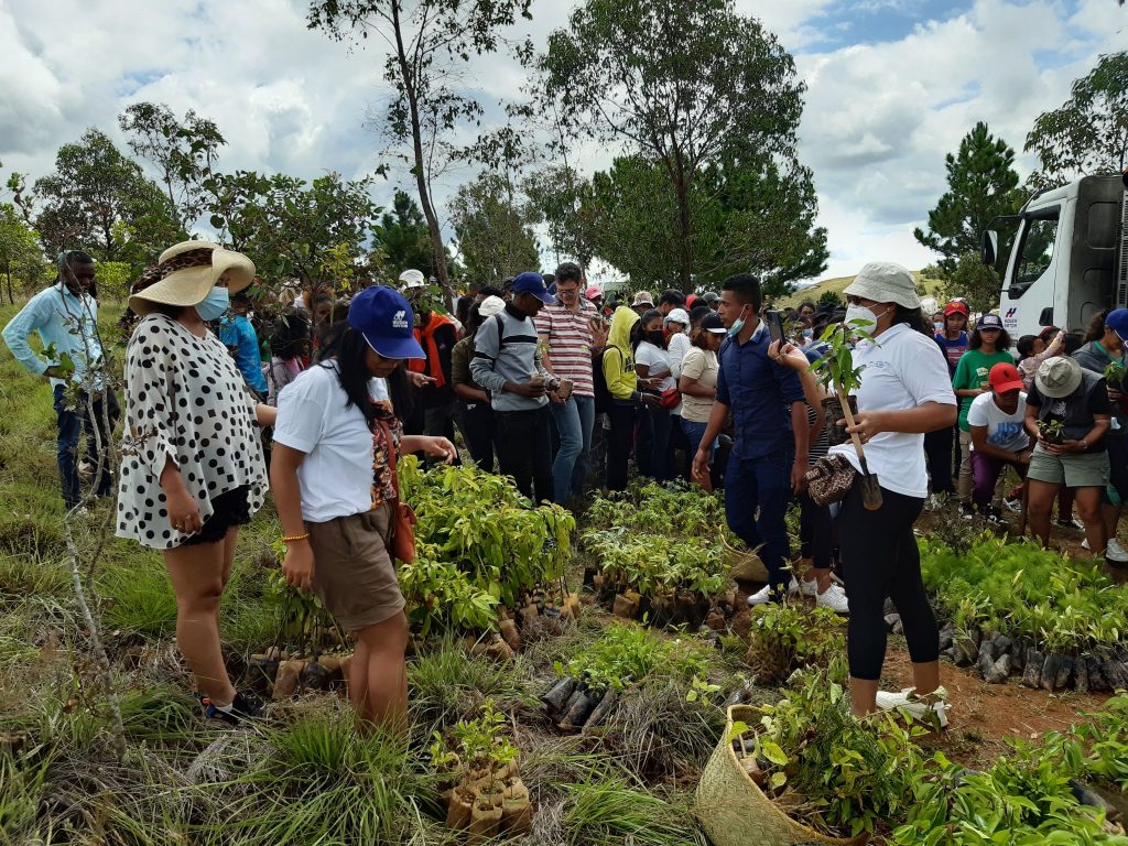 MADAGASCAR: Sogea-Satom launches a reforestation operation in Antolojanahary© Sogea-Satom