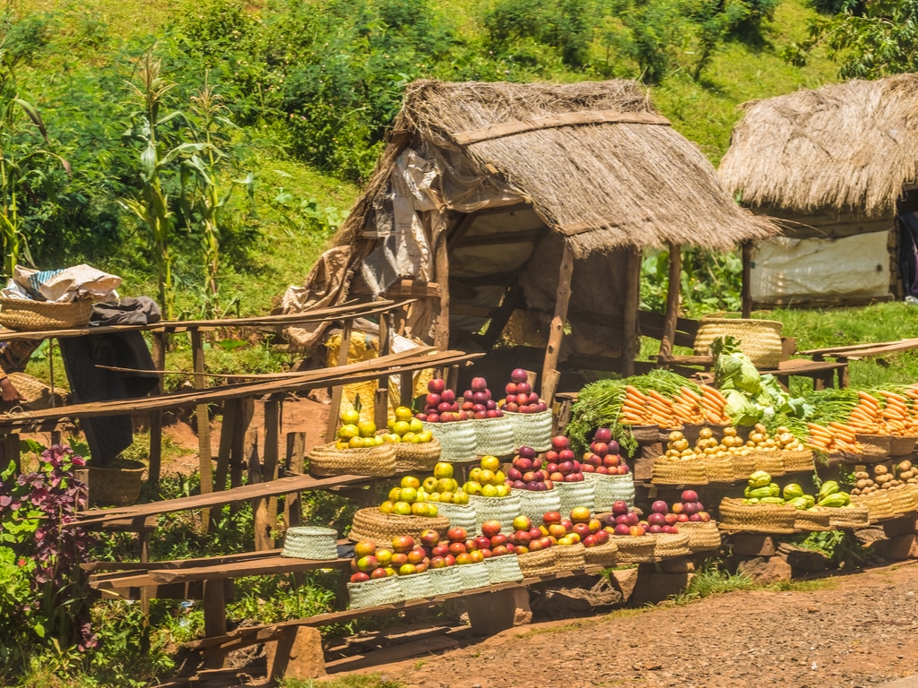 AFRICA: The 4th GoGettaz Agripreneur Prize accelerates on sustainable food ©LouieLea/Shutterstock