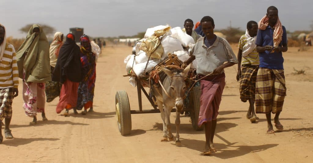 EAST AFRICA: Drought threatens 20 million people with starvation©mehmet ali poyraz/Shutterstock