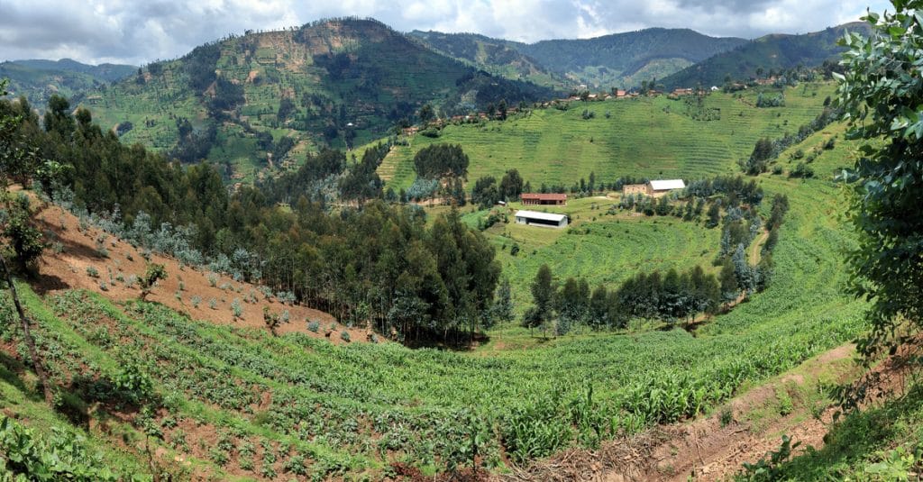 AFRIQUE : Yves Saint Laurent restaurera 1000 ha de terres au Maroc et à Madagascar©Wirestock Creators/Shutterstock