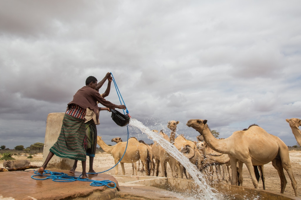 SOMALIE : un système de dessalement à l’énergie solaire fournit de l’eau à Caynabo©Faid Elgziry/Shutterstock