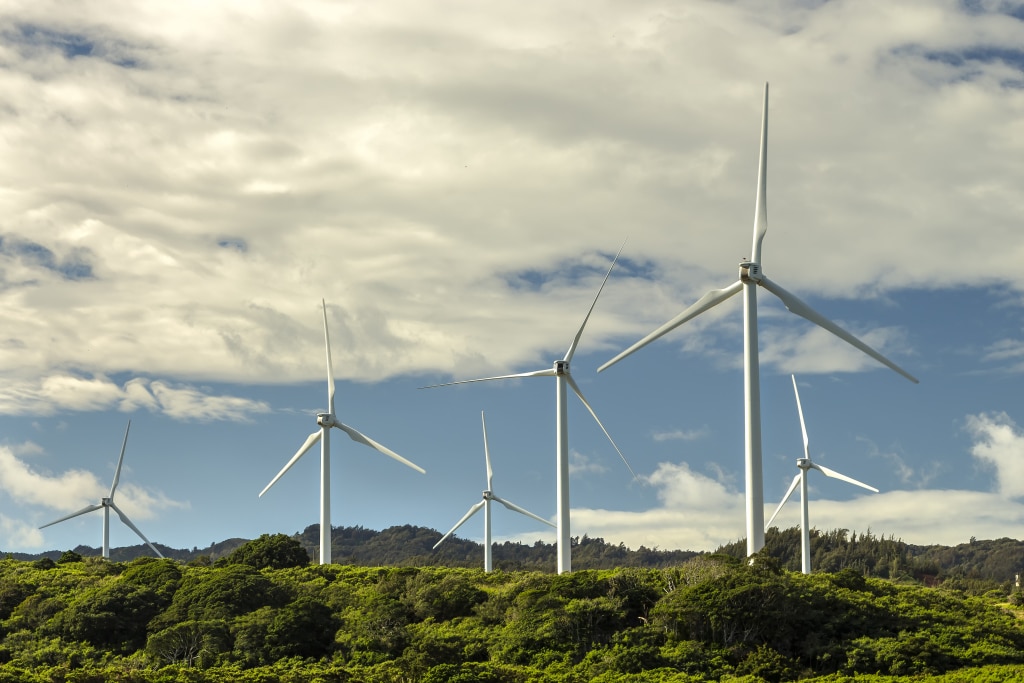 AFRIQUE : Oslo lance un nouveau fonds pour le climat et les énergies renouvelables © Leigh Anne Meeks/Shutterstock