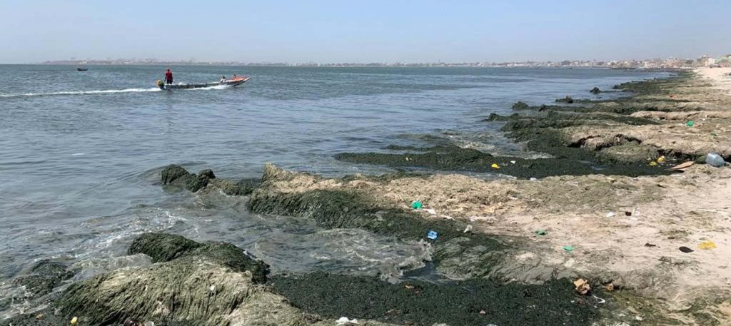 SÉNÉGAL : Suez gagne le contrat de la dépollution de la Baie de Hann à Dakar © AFD