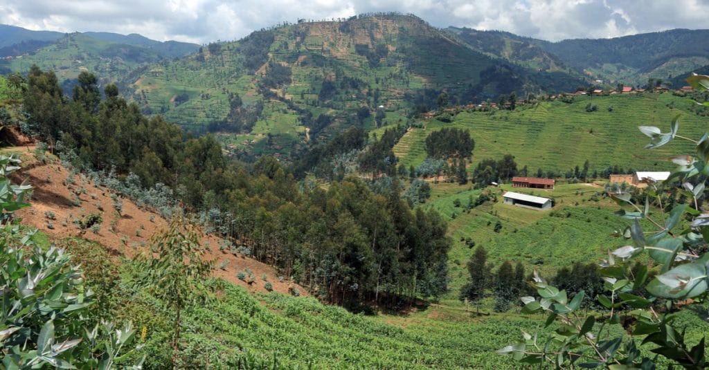 IVORY COAST: Genesis, for the environmental effectiveness of the Abidjan Initiative©Wirestock Creators/Shutterstock