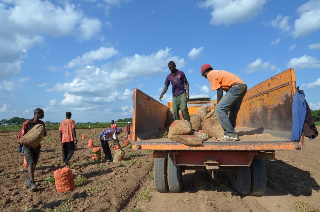 MALAWI : avec 9 M$, le programme ADRiFi soutiendra la résilience climatique © africa924/Shutterstock