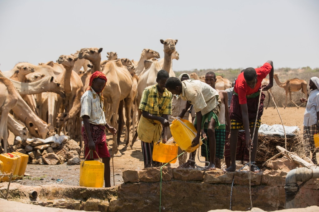 CORNE DE L’AFRIQUE : un financement 385 M$ pour l’exploitation des eaux souterraines ©Amors photos/Shutterstock