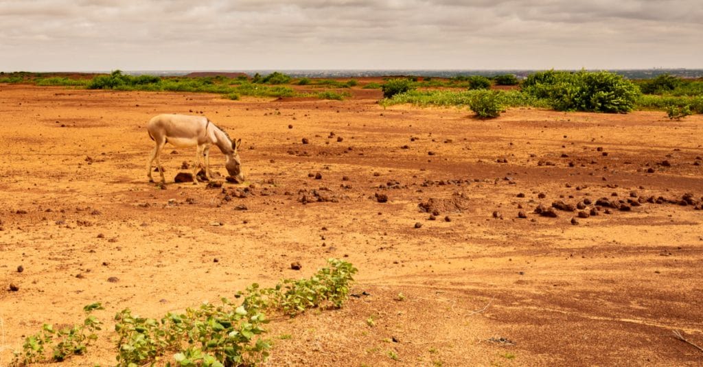 CÔTE D’IVOIRE : le GCA facilitera l’apport de 2 Md€ pour la résilience climatique ©Harmattan Toujours/Shutterstock