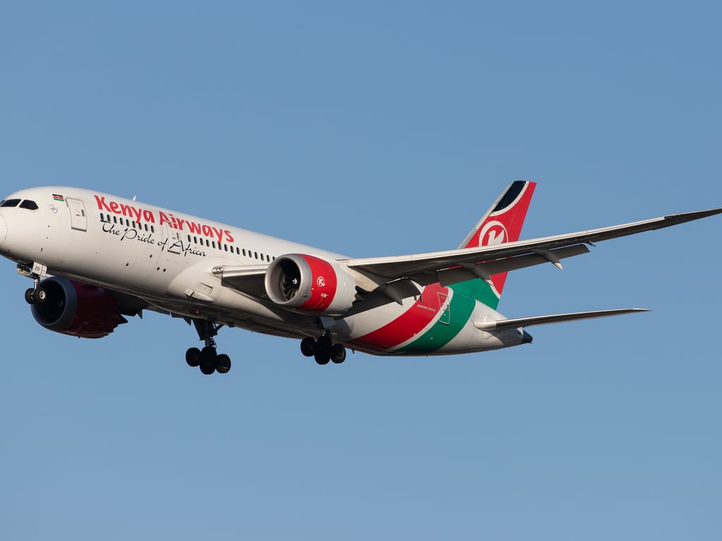 KENYA: SkyTeam's TFSC award takes Kenya Airways on board sustainable innovation © Wirestock Creators / Shutterstock