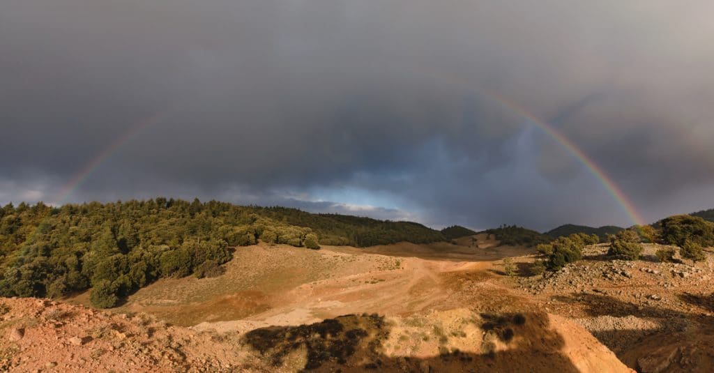 MOROCCO: AFD injects 103 million euros into a forest restoration project ©Julian Schaldach/Shutterstock