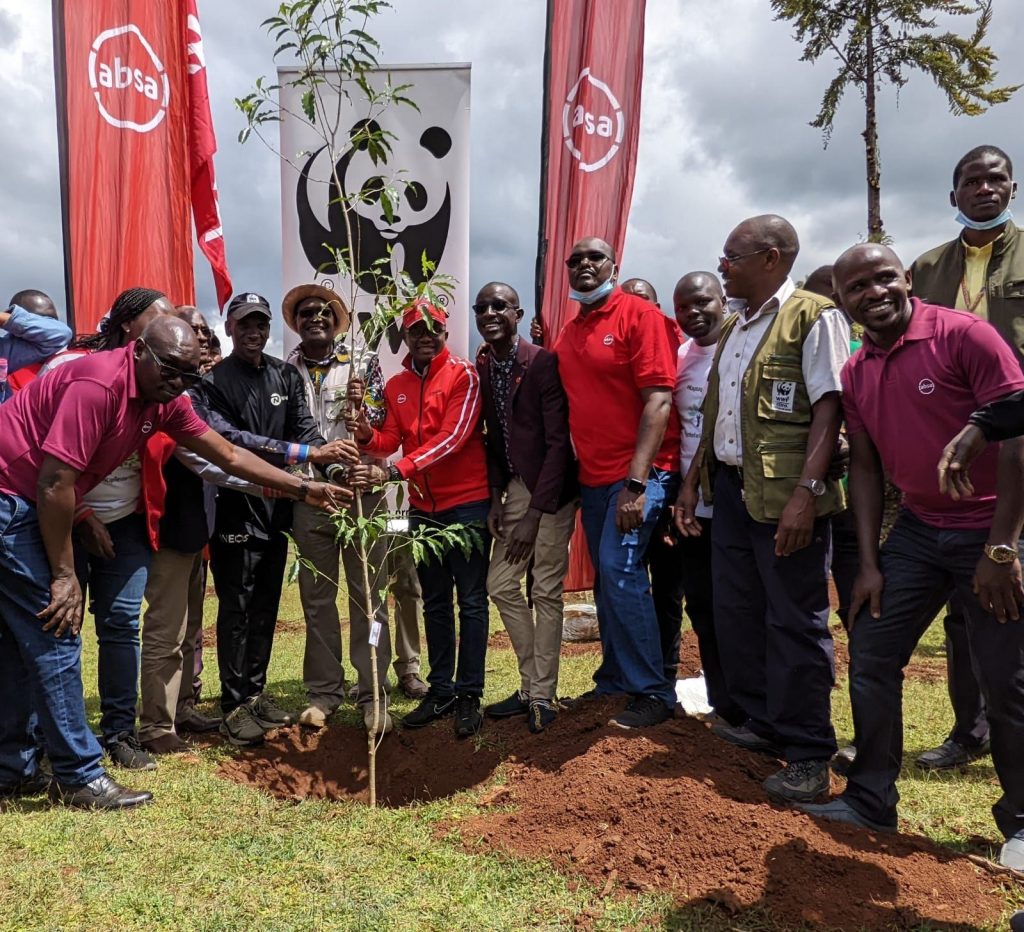 KENYA : 250 000 arbres plantés pour la restauration de la forêt de Kaptagat ©WWF Kenya