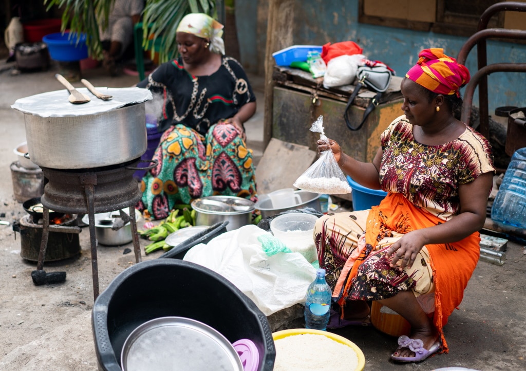 AFRIQUE : Aera et Ecosphere+ vendront les crédits carbone pour la cuisson propre © Zurijeta/Shutterstock