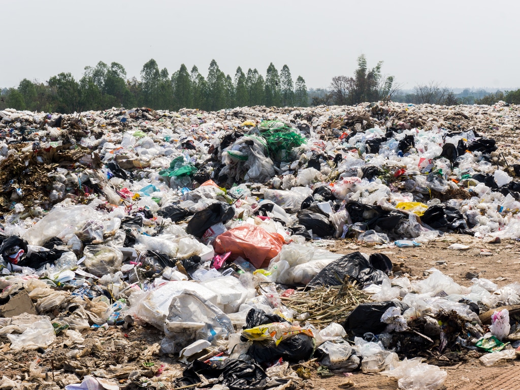 KENYA : une nouvelle loi sur la gestion durable des déchets promulguée© jointstar/Shutterstock