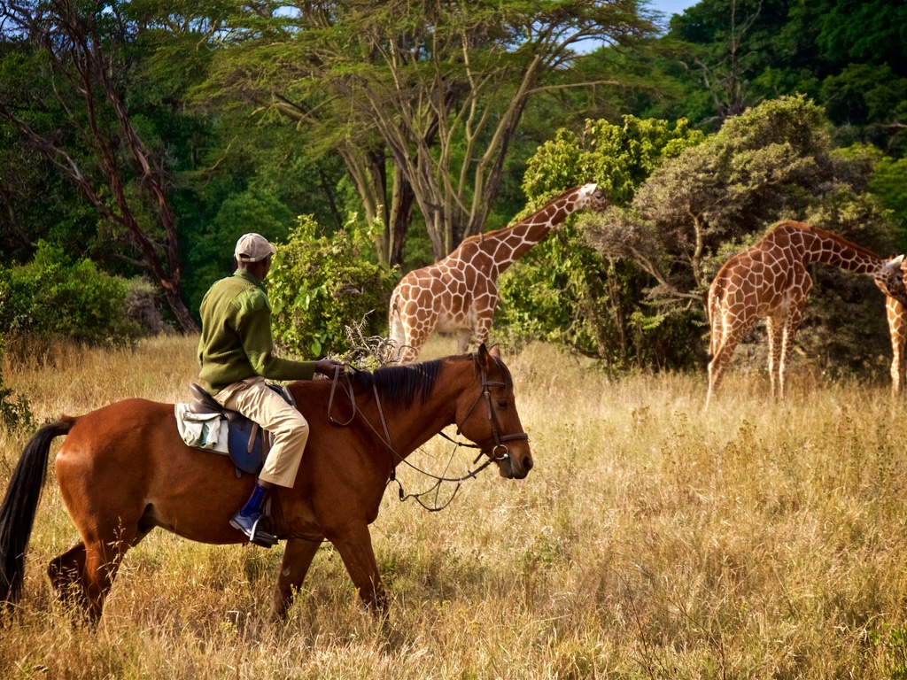 AFRIQUE : le 3e « Wildlife Ranger Challenge » se tient en septembre 2022 à Kasane ©tonyzhao120/Shutterstock