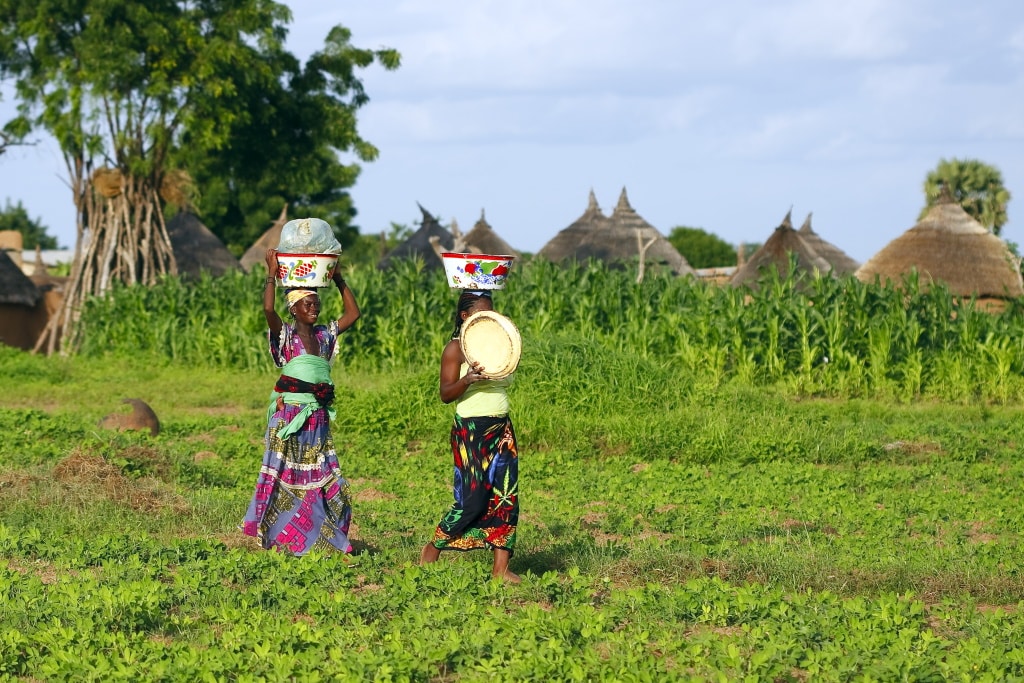 AFRIQUE : le projet Agriter II boostera l’agriculture durable dans trois pays © Hector Conesa/Shutterstock