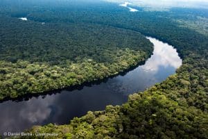 DRC: a new species of catfish discovered in the Congo River ©Greenpeace