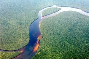 RDC : une nouvelle espèce de poisson chat découverte dans le fleuve Congo© Greenpeace