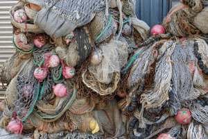 KENYA : soutenu par ClimeCo, Enaleia collectera 3 000 tonnes de plastiques par an©leungchopan/Shutterstock