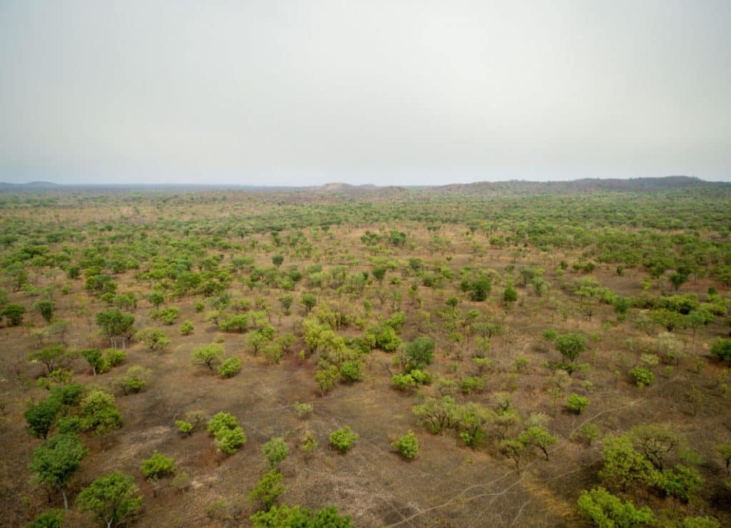 CAMEROON: In the North, 11,000 hectares of land will be irrigated from the Benue©antoinee/Shutterstock