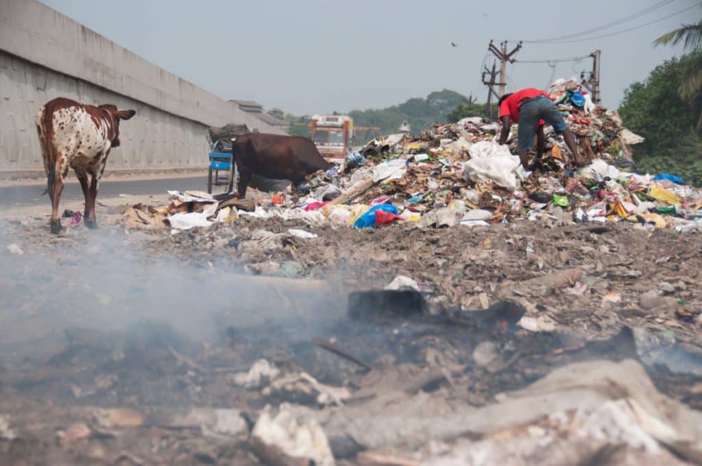 AFRICA: States adopt new measures to combat waste pollution©Strahil Dimitrov/Shutterstock