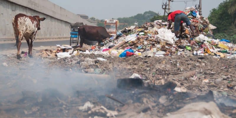 AFRICA: States adopt new measures to combat waste pollution©Strahil Dimitrov/Shutterstock