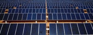 COP27: In Sharm el-Sheikh, the debates will be powered by a 5 MWp solar park© /Shutterstock