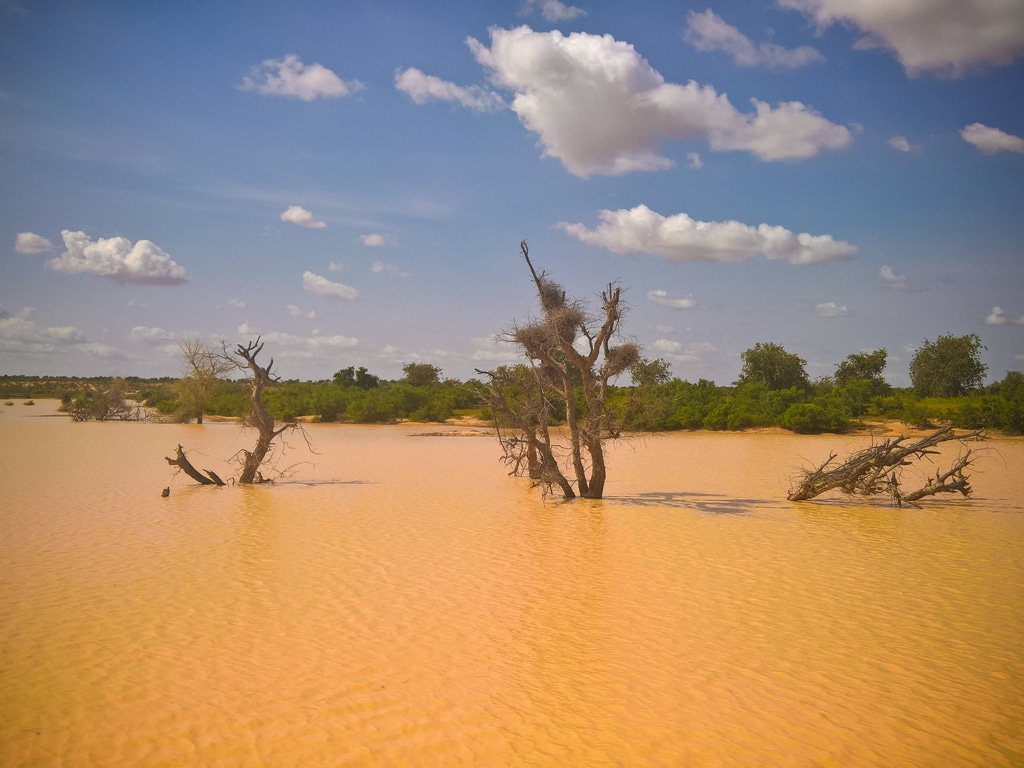 NIGER : après les inondations meurtrières, le fleuve Niger au repos©Homo Cosmicos/shutterstock