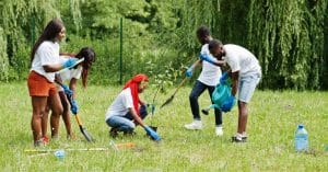 CONGO: au moins 1150 pieds d'Hévéa, plantés pour reverdir Brazzaville©AS photostudio/Shutterstock