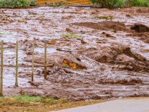 SOUTH AFRICA: Biodiversity at risk after mining dam collapse ©Christyam de Lima/shutterstock