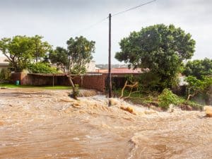 CEEAC : Douala abritera le Centre sur la transparence climatique soutenue par l’Icat© David Steele/Shutterstock