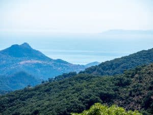 ALGERIA: FAO and ONEDD agree on the sustainable management of the Biban massif©MohamedHaddad/Shutterstock